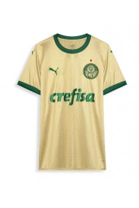 Fotbalové Dres Palmeiras Třetí Oblečení 2024-25 Krátký Rukáv